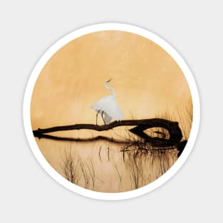 Great White Egret on Golden Pond Magnet